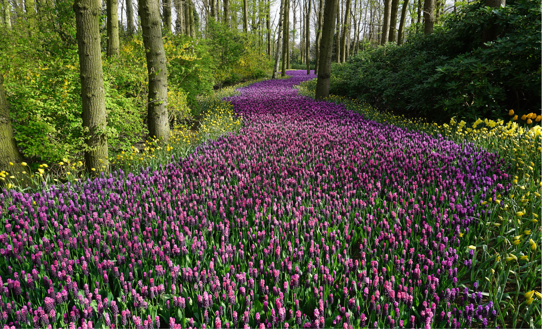 Érezd a természet közelségét!