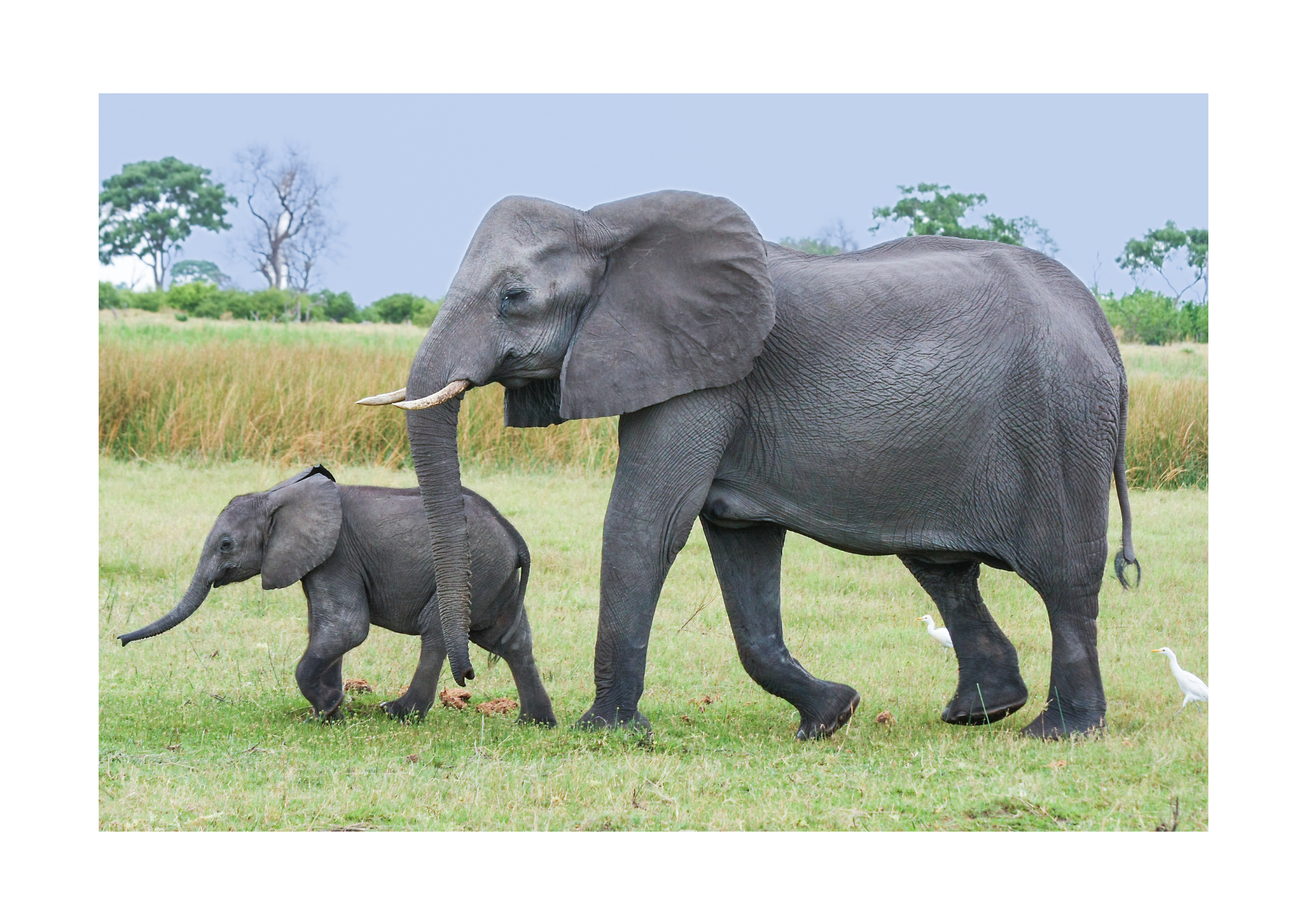 A család fontossága