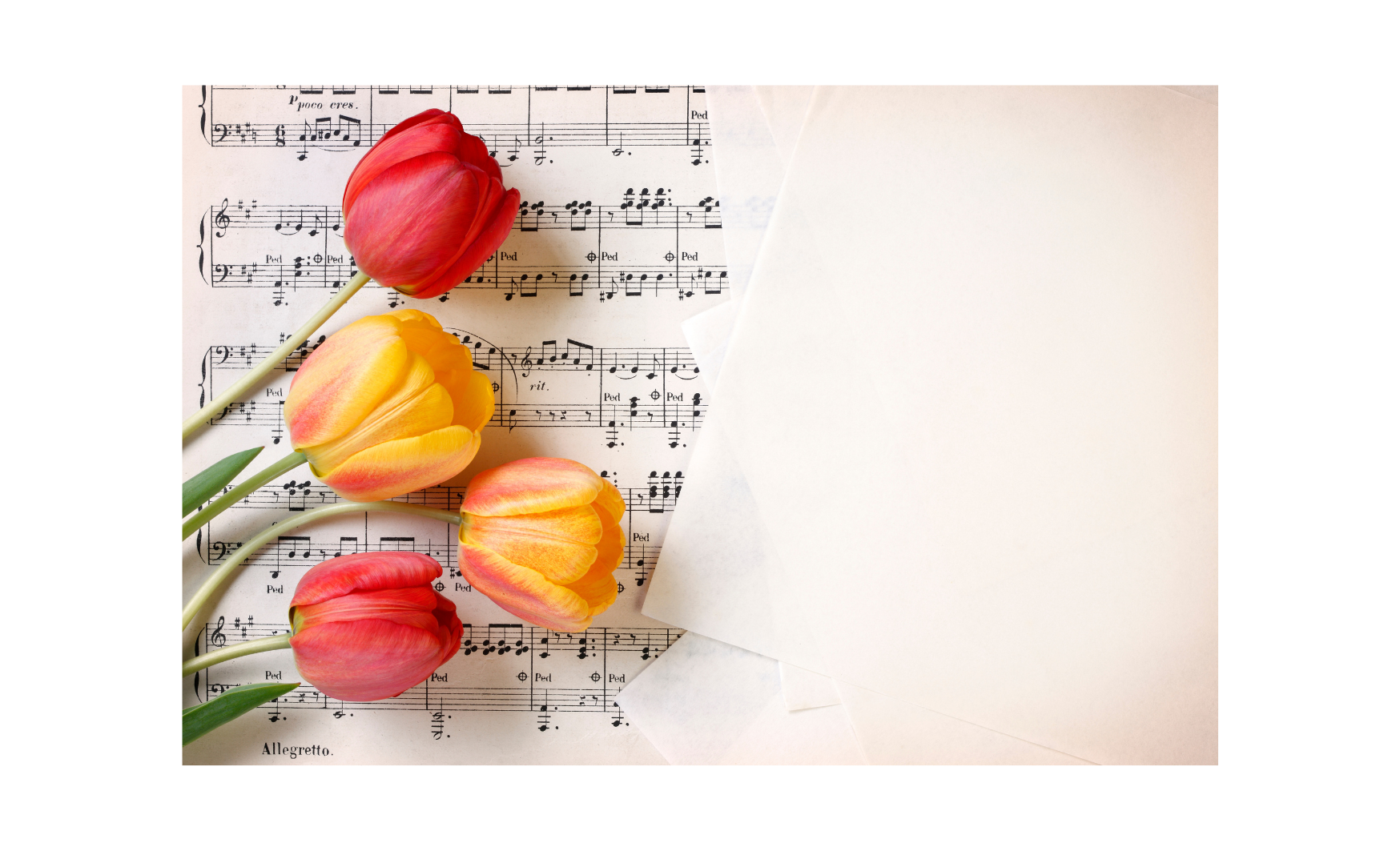 A mellékvese és a stressz