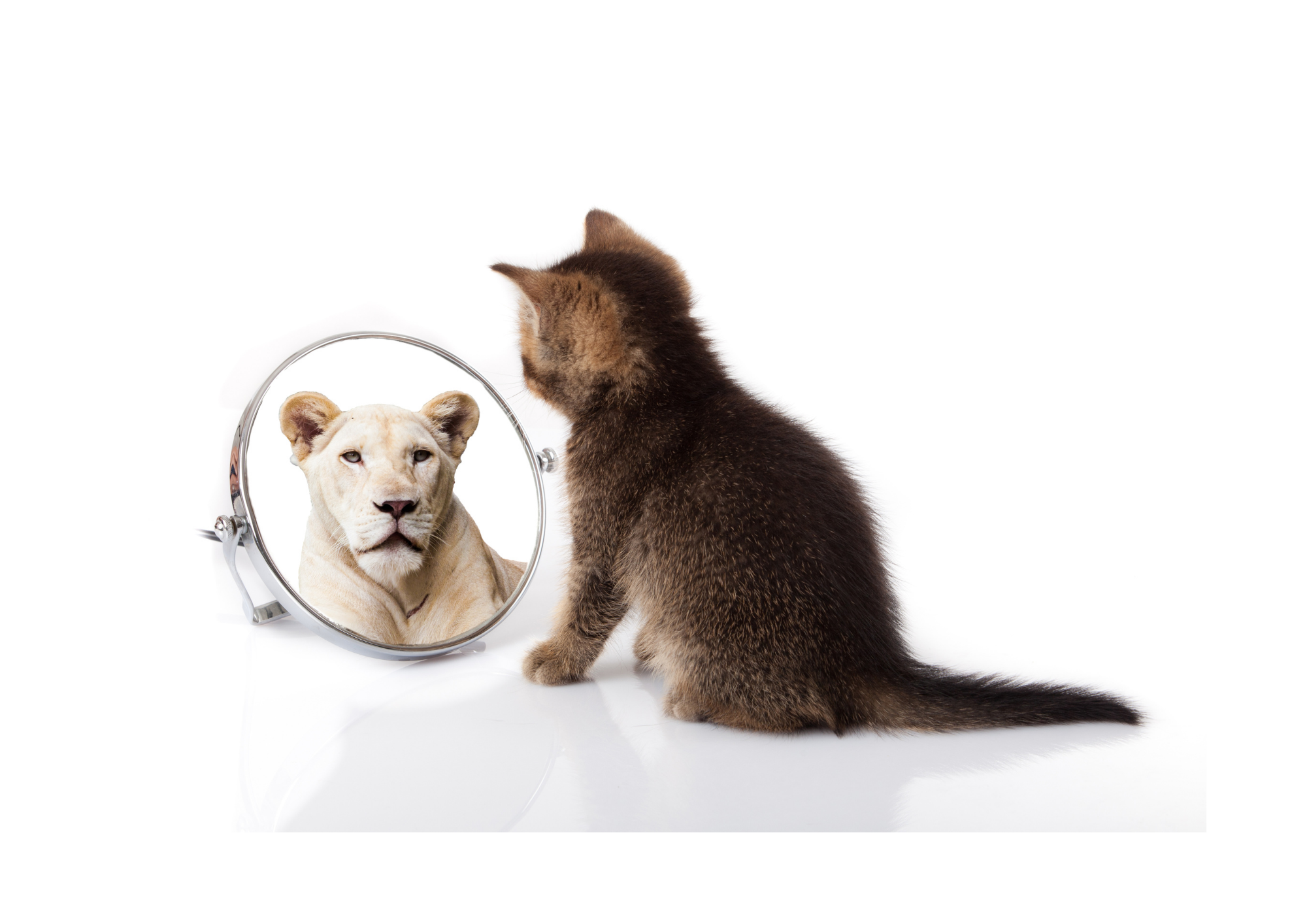 Segítség! – Kamaszok!