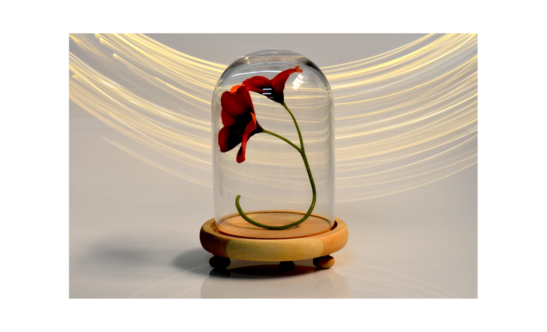 A különbség kudarc és siker között