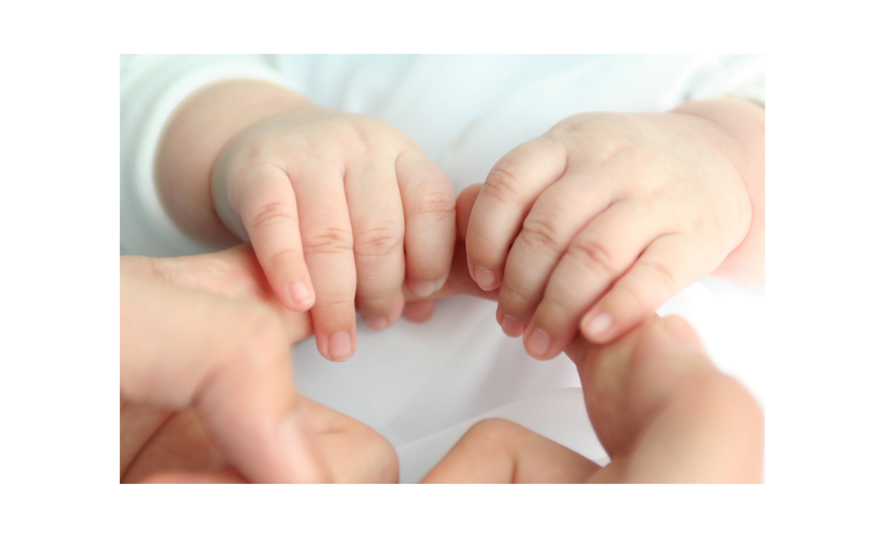 Családi lelkiismeret