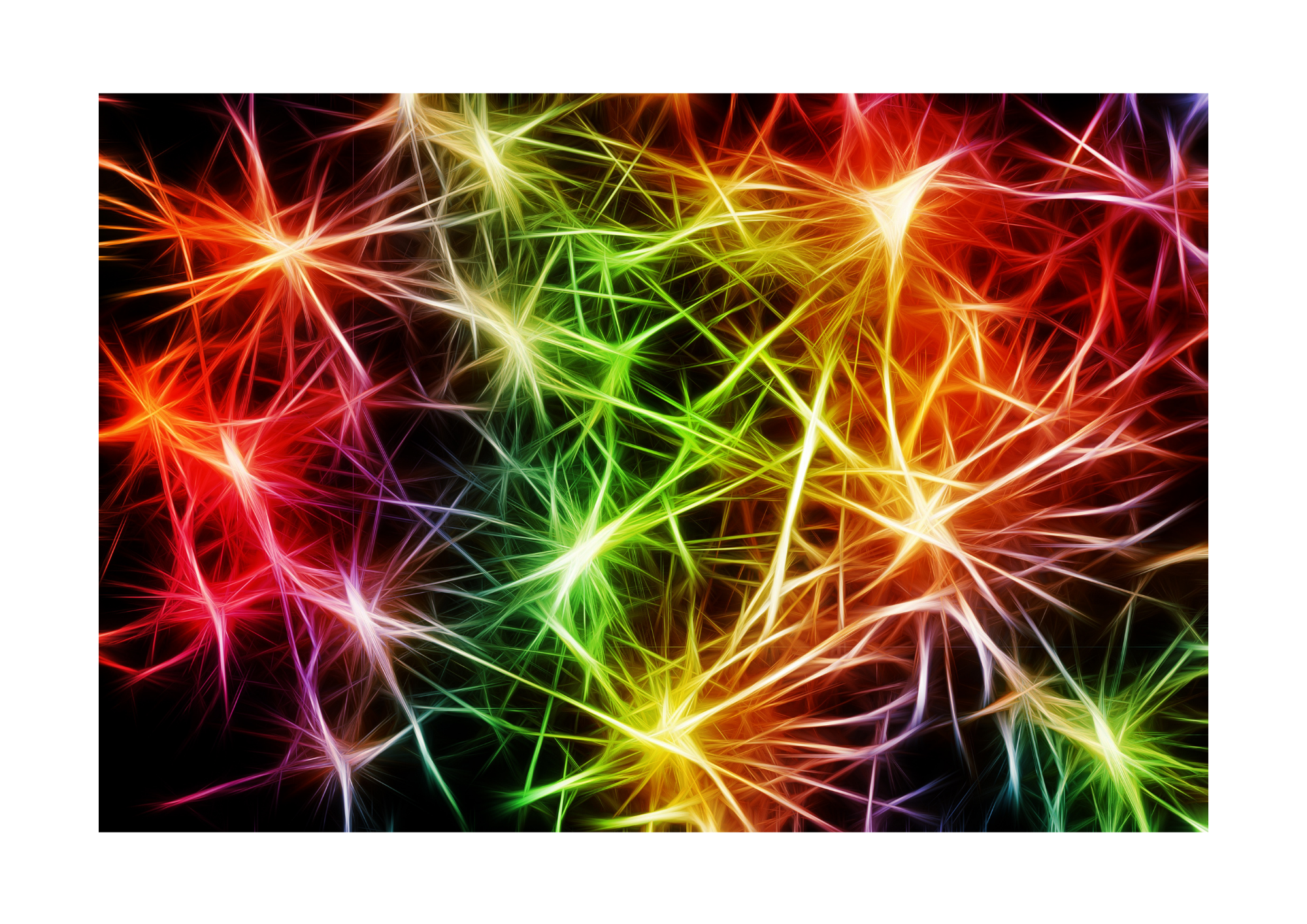 A tested energiamező.