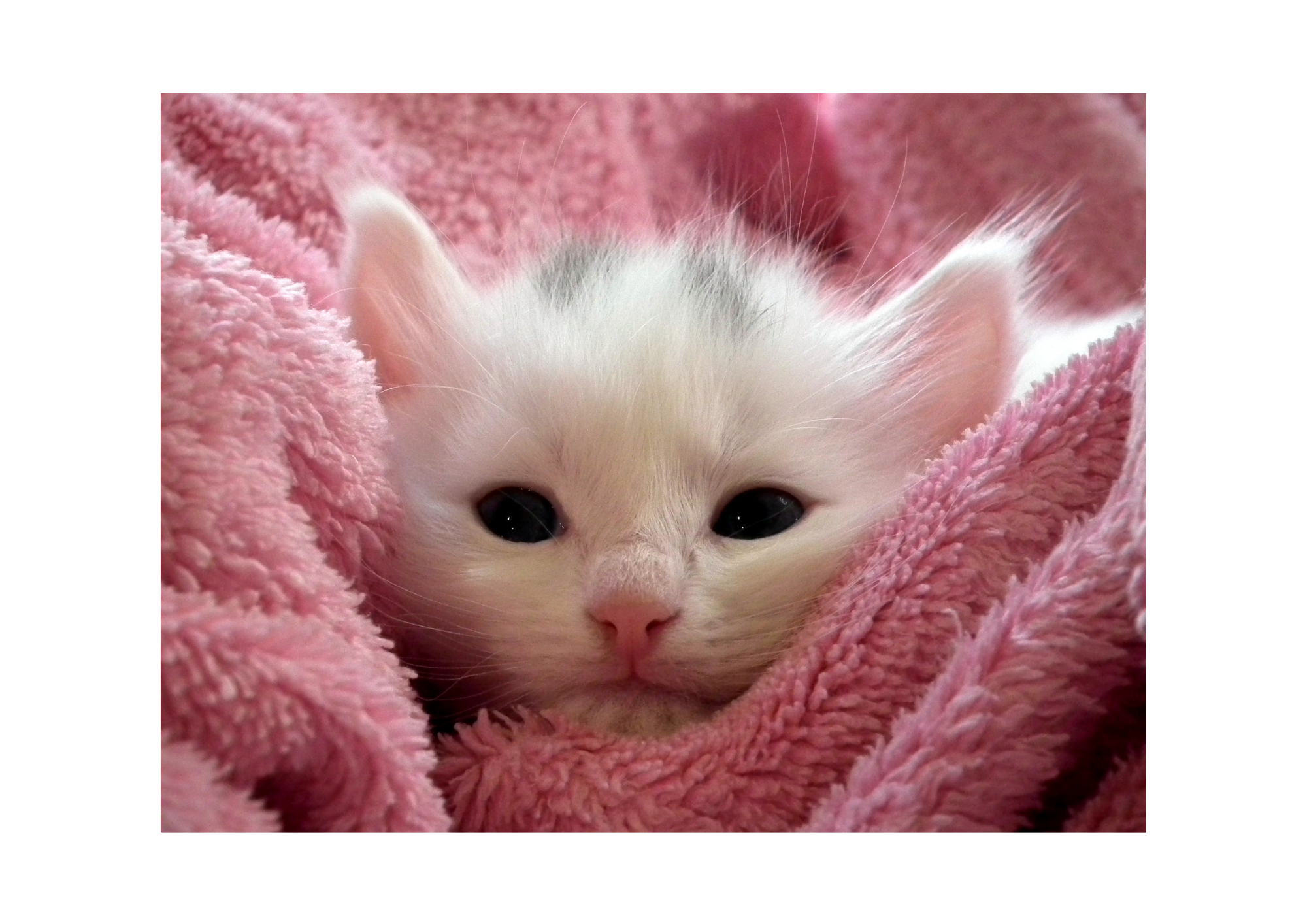 Kinek nehéz valójában a neheztelés?